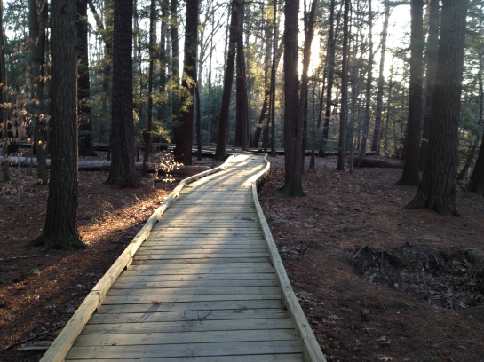 'Boardwalk in the woods' - approx. a qtr. mile long.